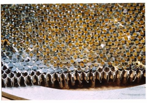 mosaic1.jpg